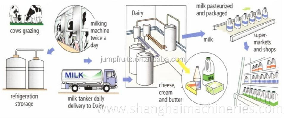 pasteurized milk/yogurt/dairy production line